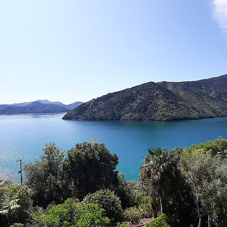 A Sea View B&B Picton Kültér fotó