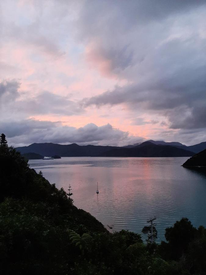A Sea View B&B Picton Kültér fotó