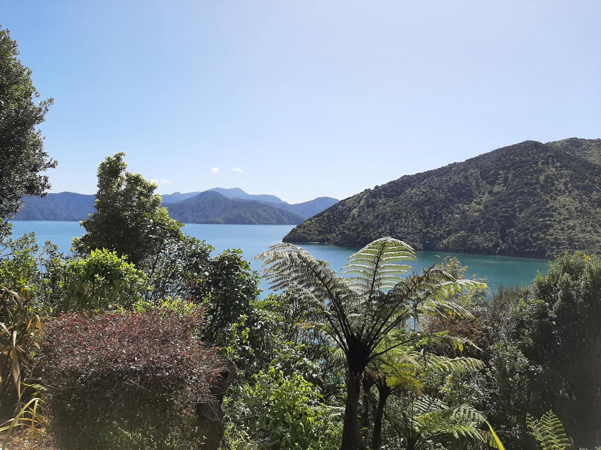 A Sea View B&B Picton Kültér fotó
