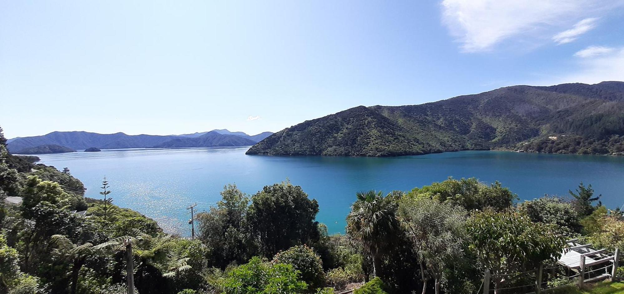 A Sea View B&B Picton Kültér fotó